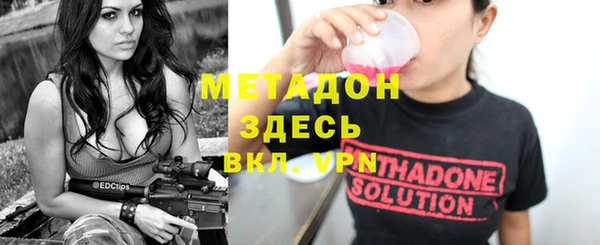 индика Алзамай