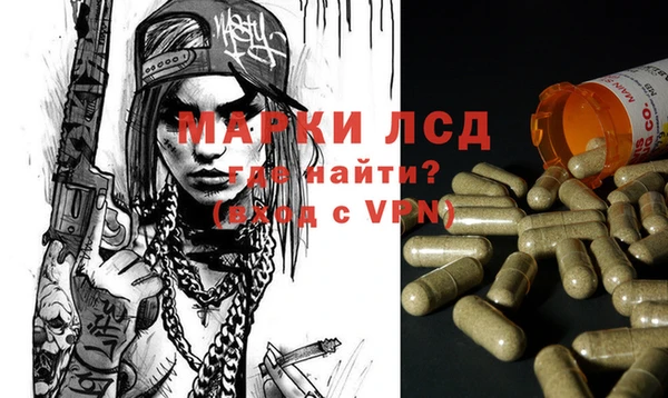 индика Алзамай