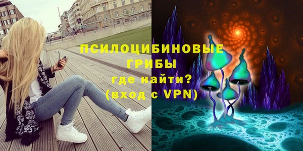 индика Алзамай