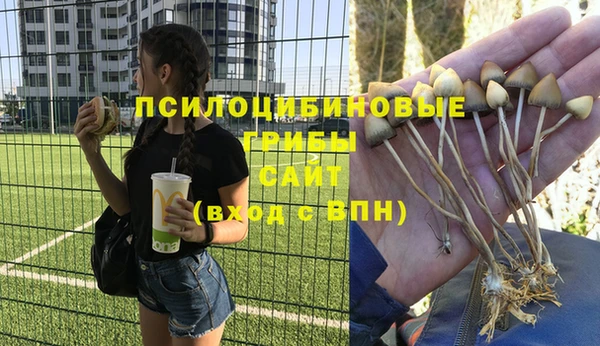 индика Алзамай