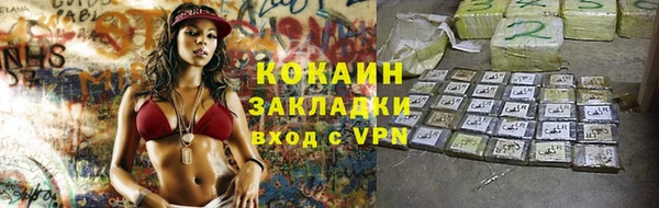 индика Алзамай
