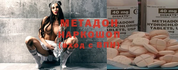 индика Алзамай