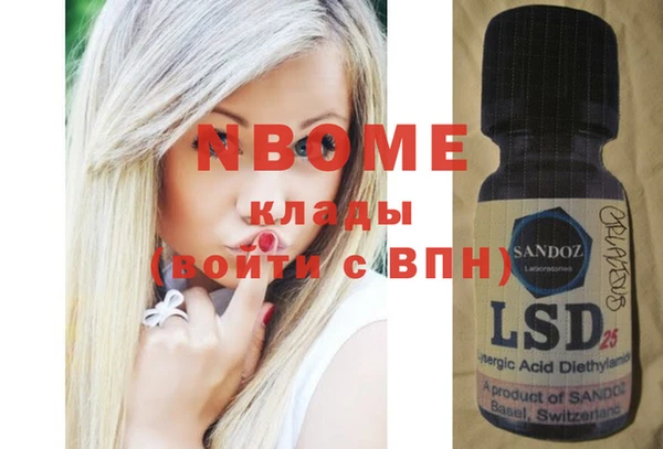 индика Алзамай
