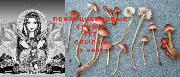 индика Алзамай