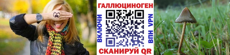 Галлюциногенные грибы MAGIC MUSHROOMS  как найти   Княгинино 